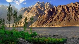 Passu