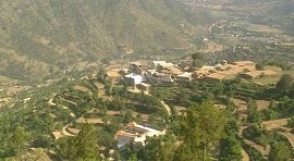 Buner