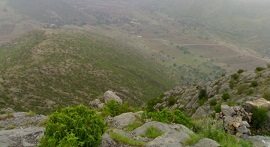 Hangu