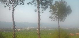 Shakarparian Hills