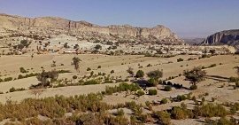 Karak