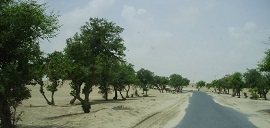 Layyah