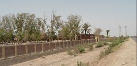Sanghar