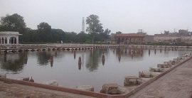 Shalimar Garden