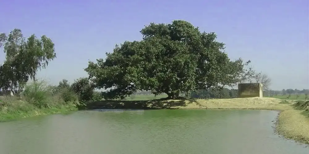 Shakargarh