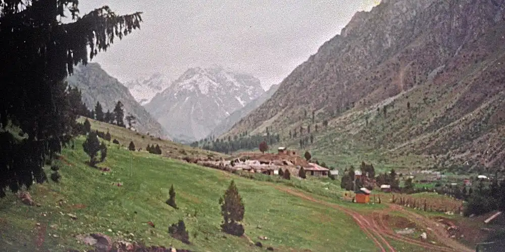 Naltar valley