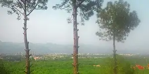 Shakarparian Hills