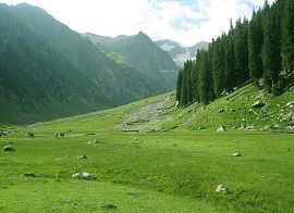 Lush green meadows in Kumrat Valley