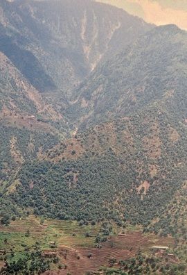 Naltar Deep Valley in Mountains