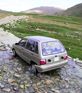 Crossing the Stream in Deosai Plains