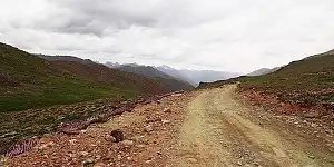 Jeep tracks in Deosai plains