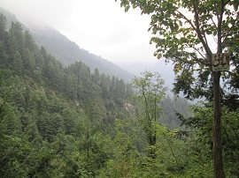 View from Donga Gali Ayubia Trek